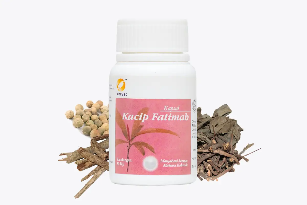 Kacip Fatimah Ingredient lerrystherbs Kacip Fatimah Ingredient lerrystherbs